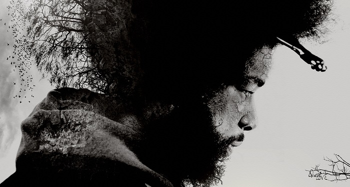 Questlove Mo Meta Blues @LignesdeFrappe.com